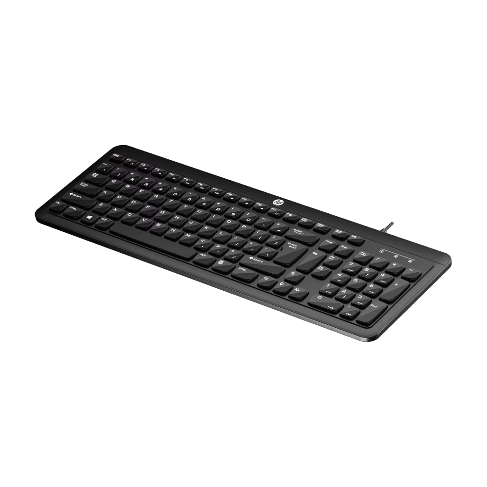 HP USB Keyboard K160 view 2